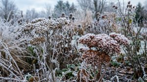 Chromatic Immersion: Curating Sensory Palettes And Tactile Textures In Modern Flower Landscapes – Visual 6