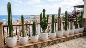 Ergonomic Mastery: Functional & Space Saving Hacks For Perfect Patio – Visual 23