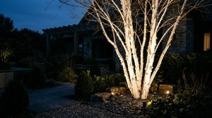 Garden Decoration Ideas: The Architectural Blueprint & Spatial Flow Guide – Visual 5