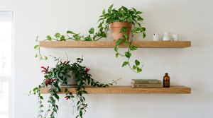 Indoor Plant Decoration Ideas: The Architectural Blueprint & Spatial Flow Guide – Visual 3
