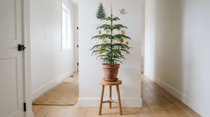 Organic Modern Magic: Curating A Multi Sensory ‘Quiet Luxury’ Christmas In Compact Hallways – Visual 11