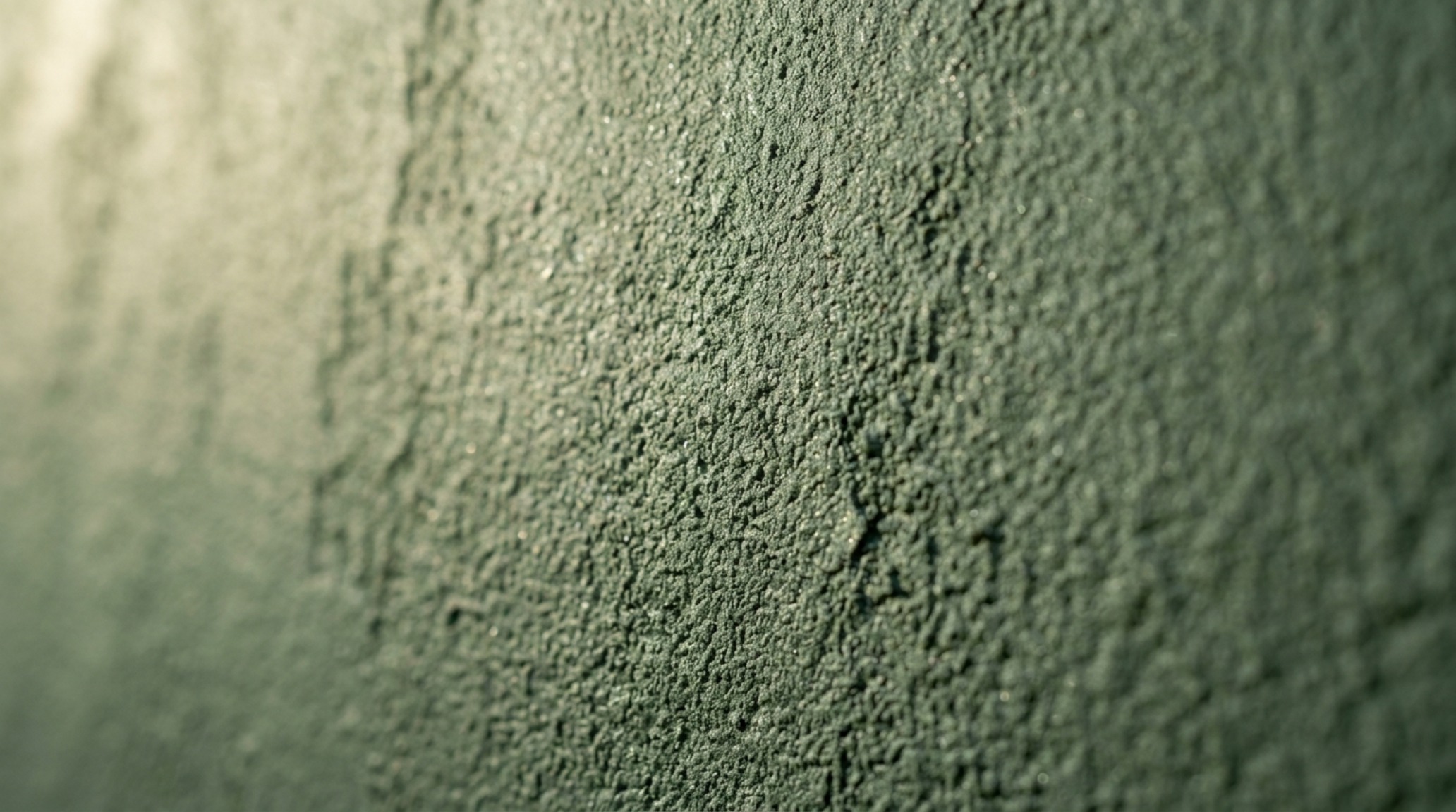 Detail shot of high-durability mineral-based paint on a 2500 sq ft house exterior showcasing the matte texture and thermal-reflective properties of modern facade color trends 2024. Detail shot of high-durability mineral-based paint on a 2500 sq ft house exterior showcasing the matte texture and thermal-reflective properties of modern facade color trends 2024.