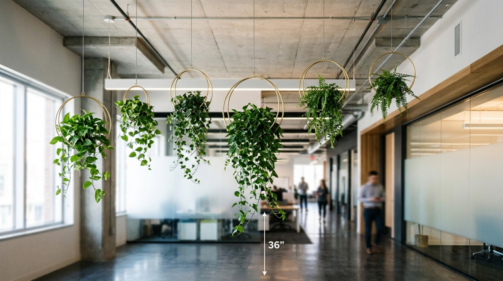 space-saving office ornaments consisting of champagne-gold rings hanging from the ceiling in a minimalist hallway with 36-inch clear walkways
