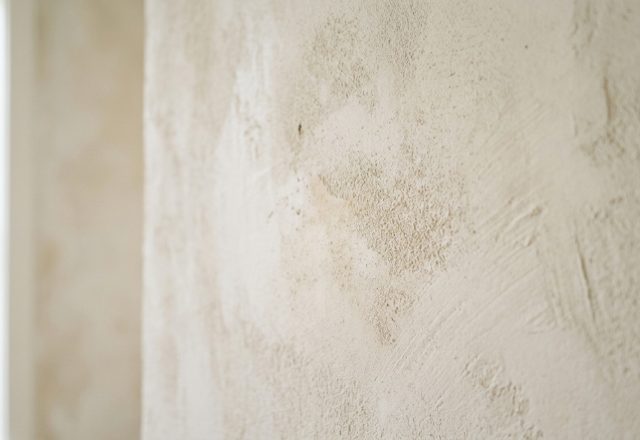 Close-up of a hand-applied mineral limewash wall in Sherwin-Williams Greek Villa, showing the soft mottling and crystalline texture under warm directional sunlight.