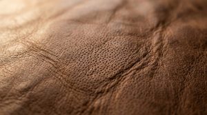 Taking Care Of Leather Furniture: The Architectural Blueprint & Spatial Flow Guide – Visual 2