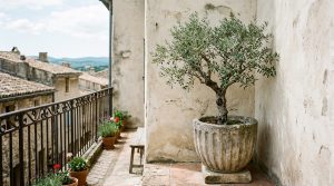 The Italian Villa Blueprint: Scaling Jenny Marrs’ Rustic Proportions For Narrow Apartment Balconies – Visual 6