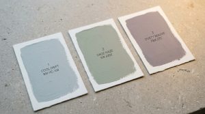 The Light Science Blueprint: Balancing Exposure And Tone With Cool Room Colors – Visual 4