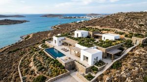 The New Oikos: Reimagining Modern Day Greek Architecture Through The Socratic Courtyard – Visual 4