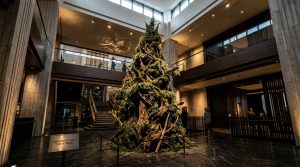 The Sculptural Evergreen: Mastering Scale And Architectural Flow In Christmas Decorating Tree Ideas – Visual 7