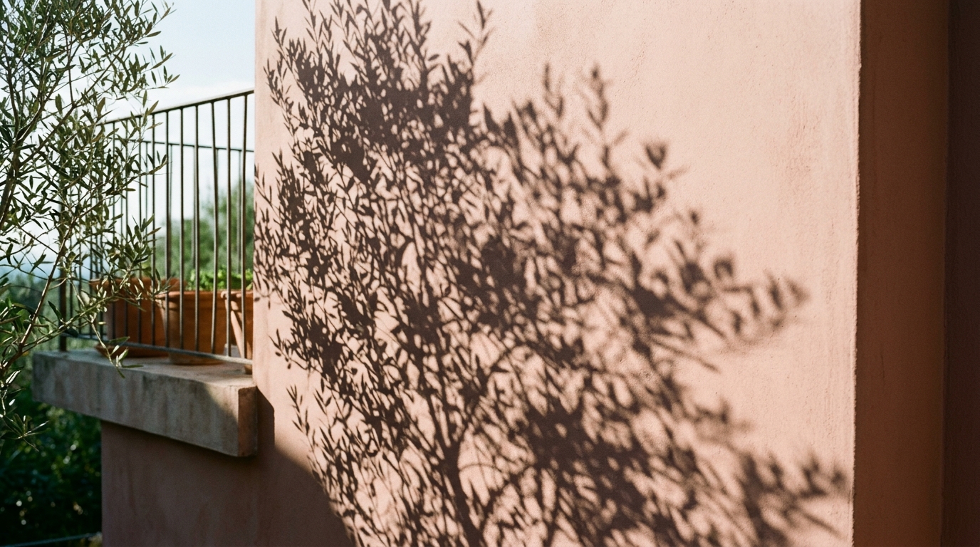 Soft diffused shadow play on a limewash balcony wall created by a strategically placed Japanese Maple.