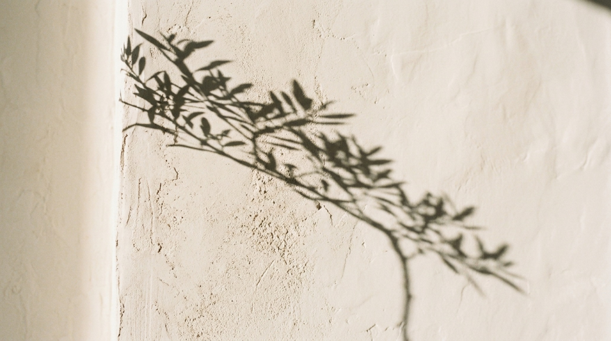 The interplay of natural light and negative space on a Roman clay finished wall with a single piece of abstract art.