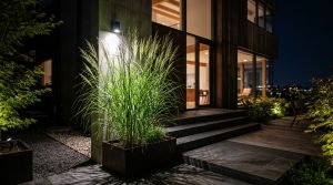 The Tactile Aesthetic Of Outdoor Plants For Patio: Materials, Moods & Lighting Kelvin – Visual 26