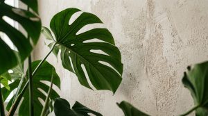 The Tactile Aesthetic Of Outdoor Plants For Patio: Materials, Moods & Lighting Kelvin – Visual 3