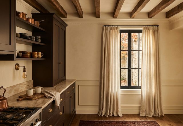 dark kitchen cabinets
