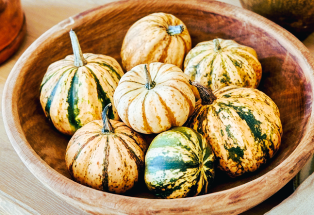 A rustic wooden bowl filled with variegated miniature pumpkins used for fall tabletop decor