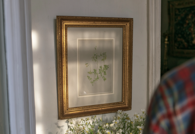 Framed botanical art print hanging on a white wall above fresh flowers in a home hallway.
