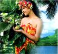 Simple way how to get rid of mice in house with Noni fruit: How Do I Get Rid Of Mice