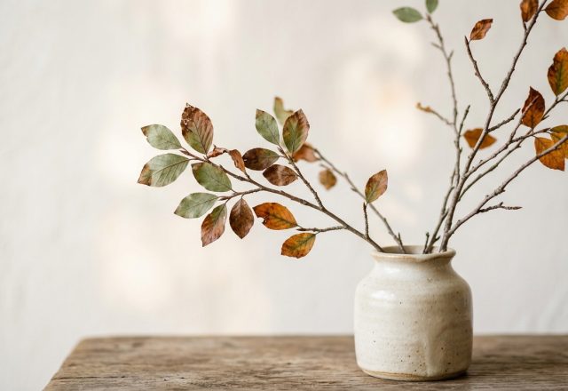 Minimalist tabletop branches styled inside a neutral ceramic vase on a rustic wooden surface.