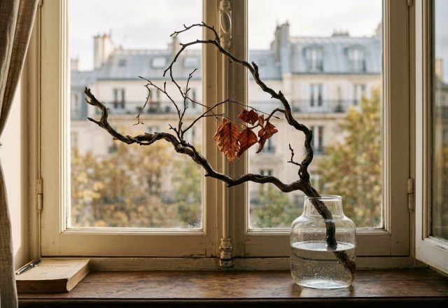 Minimalist window sill decor featuring a glass vase with a bare branch and autumn leaves against a city view.