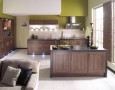 Amazing Kitchens and Designs Inspiration: green kitchen design interior