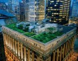 Amazing Rooftop Garden Design: Planting Times for Garden Vegetables