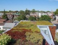 Amazing Rooftop Garden Design: Rooftop Patio Design Idea