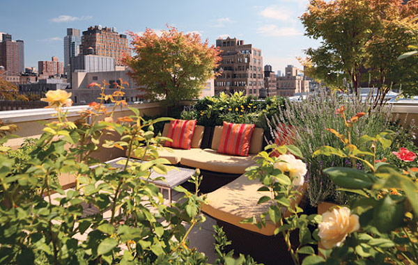 flowery rooftop garden design