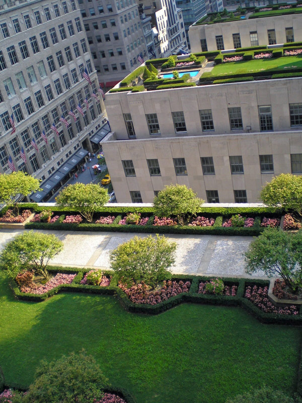 : Rooftop Garden Design With City Landscape