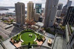 Wow Rooftop Garden Ideas