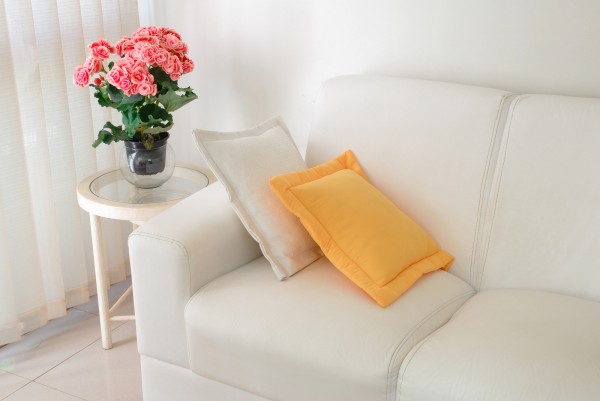 decorative flower plants for white minimalist living room with white single couche