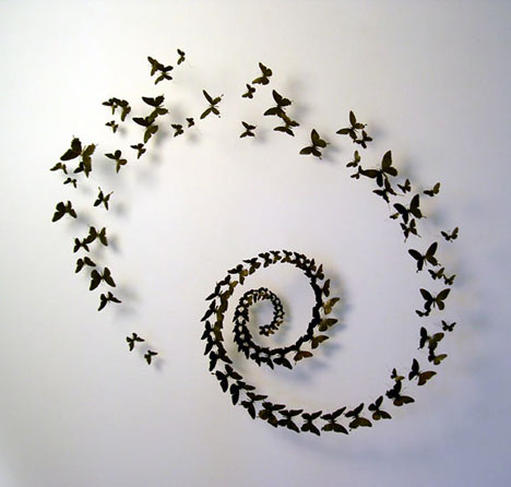 Elegant and modern metal wall decoration: Creative modern metal wall photo holder decoration