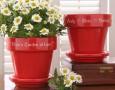 Keep your earthenware clean with vinegar easily: keep attractive hand made pottery with vinegar