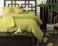 Natural bedroom with fresh and relaxing atmosphere: Natural bedroom with fresh and relaxing atmosphere: Natural bedroom with fresh true plant aquarium