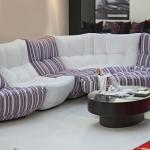Couches for Small Living Rooms for Modern and Minimalist Spaces
