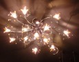 Recognizing kinds of ceiling light to decorate buildings: Sort of light-the flowery ceiling light