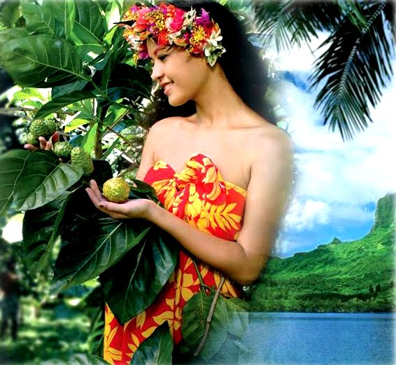 Simple way how to get rid of mice in house with Noni fruit: : How Do I Get Rid Of Mice
